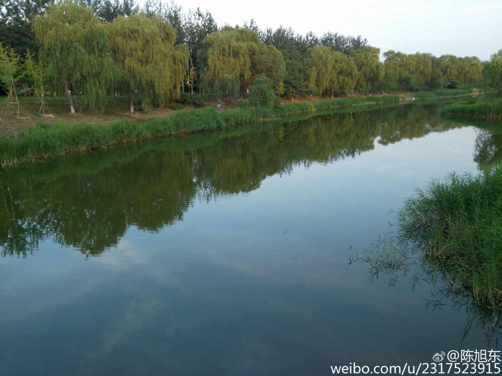 Gizlogic_ ZuK Z1_camara samples (1)