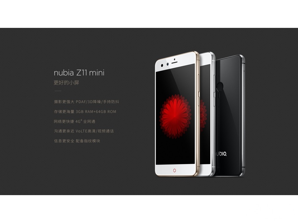 Gizlogic-ZTE Nubia Z11 Mini (5)