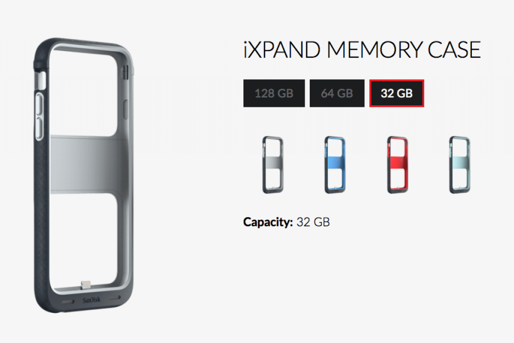 iXpand Memory Case