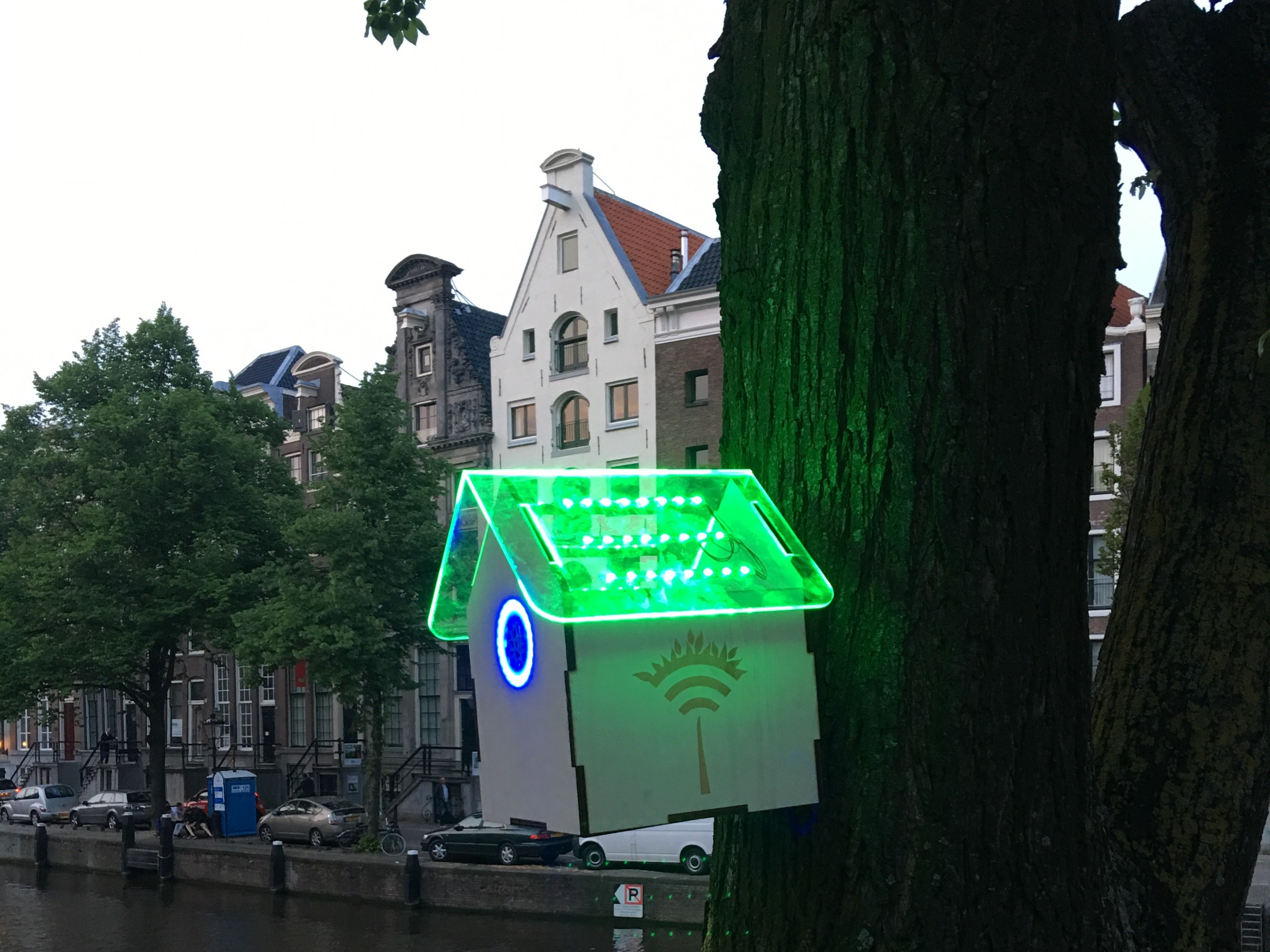 Caseta TreeWifi