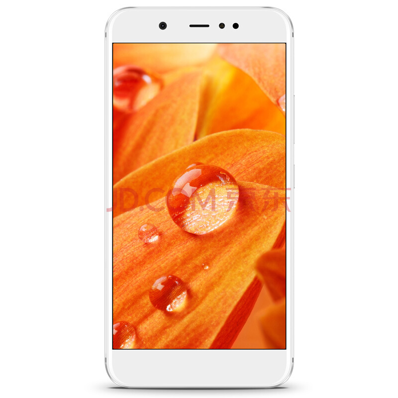 Hisense H10