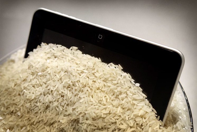 movil arroz