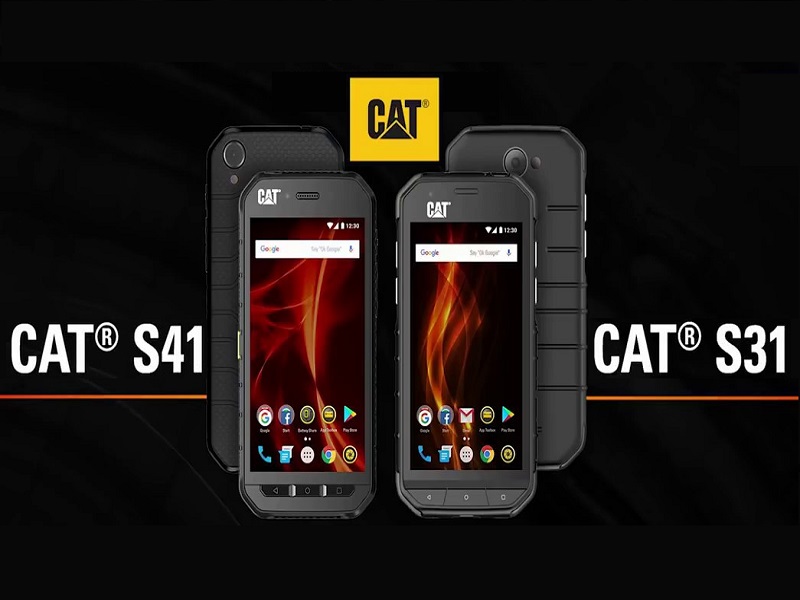 Cat S41