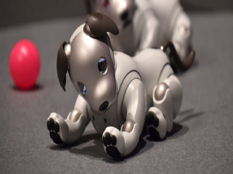 Perro robot Aibo de Sony