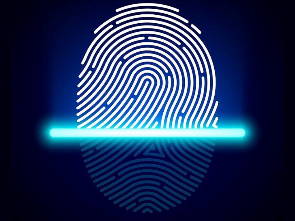 fingerprint