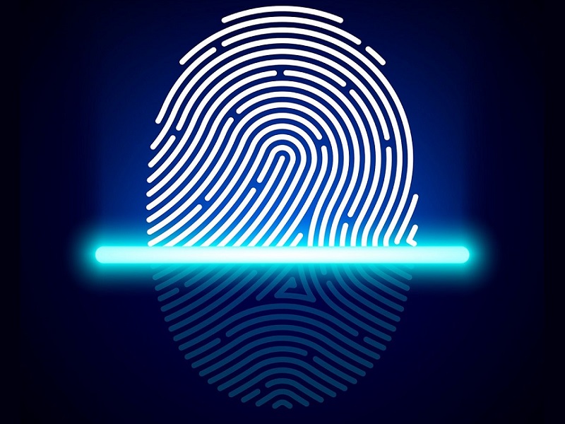 fingerprint