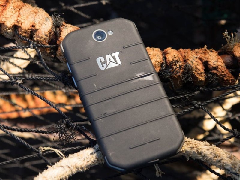 cat s31