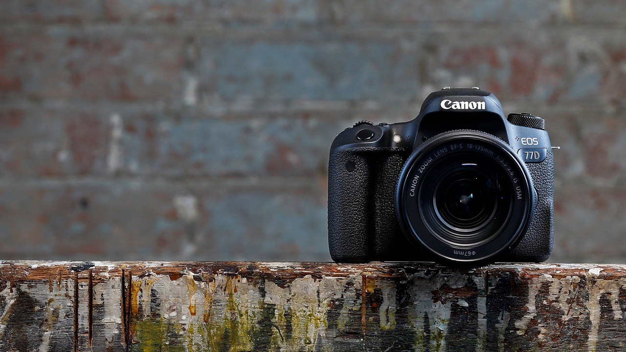 hablar látigo Juicio Canon 77D, una cámara réflex para hacer fotos con personalidad