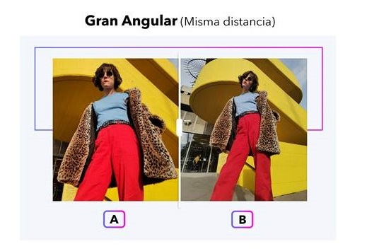 photos taken with honor 20 photos taken with honor 20