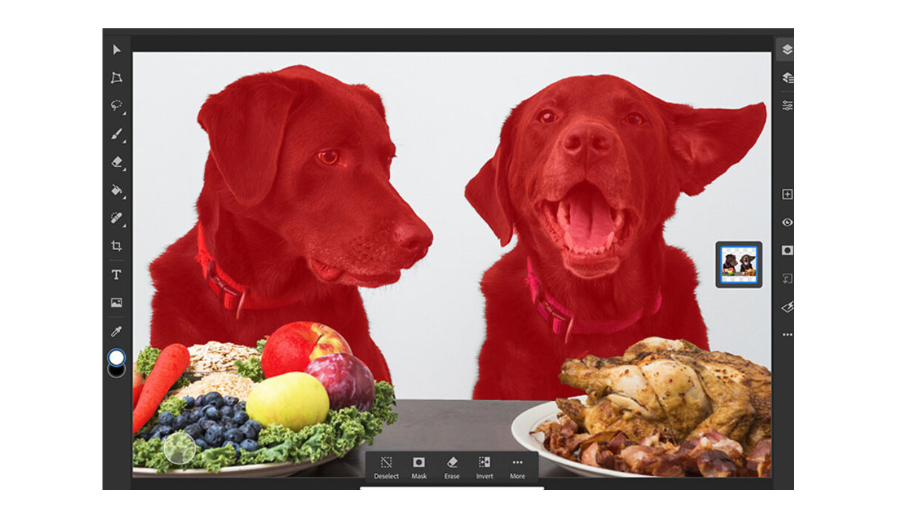 Adobe actualiza Photoshop para iPad – Ahora con Seleccionar Sujeto