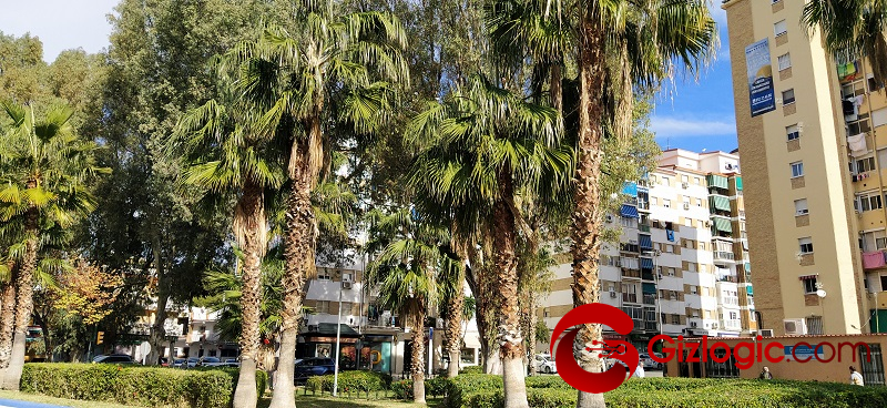Xiaomi Mi A3 Foto