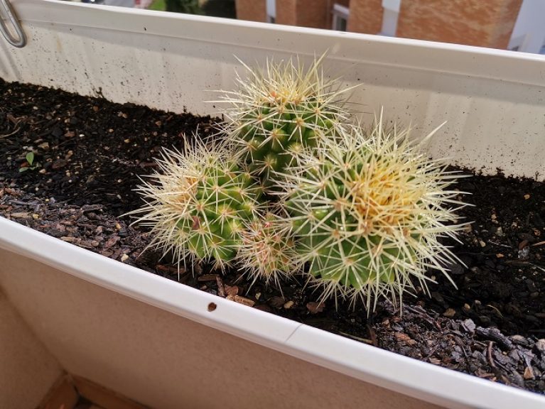 Huawei P40 Lite