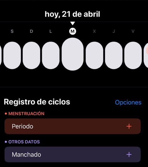 control de ciclos de apple 2