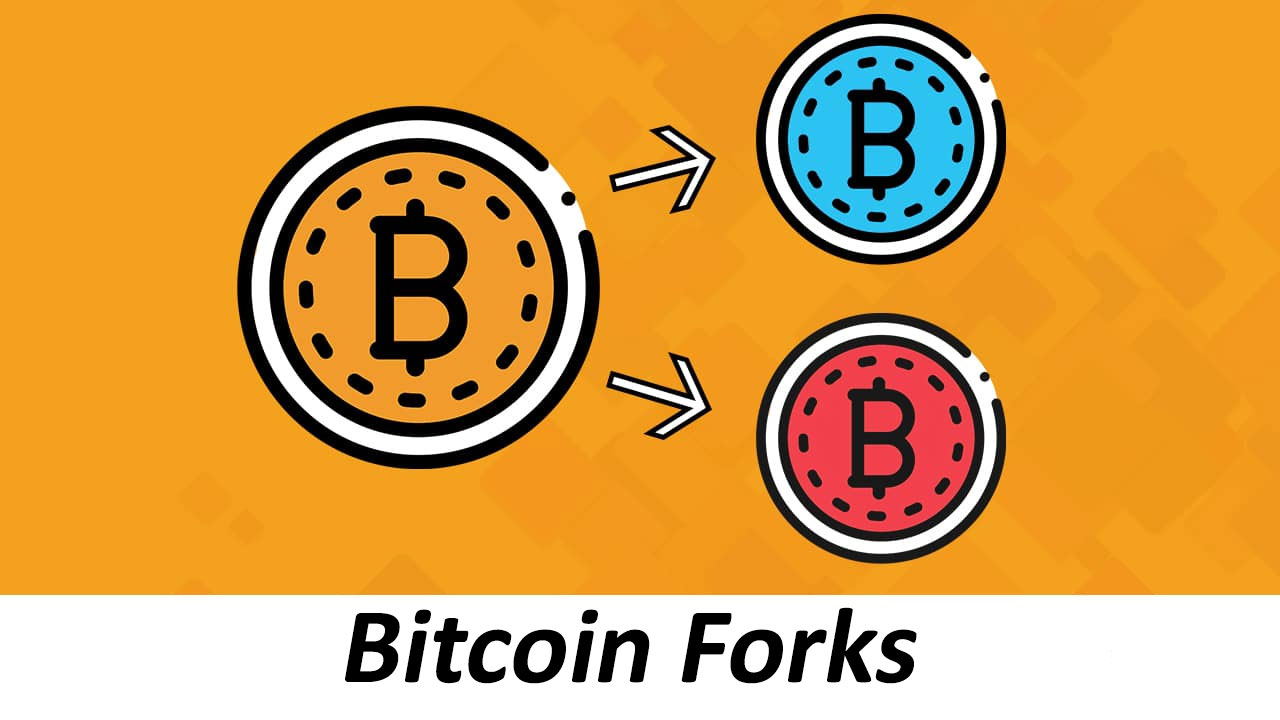 Bitcoin Forks - Qué son las bifurcaciones del blockchain