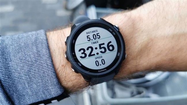 Garmin 245