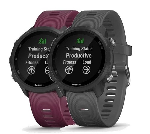 Garmin forerunner 245 Reloj