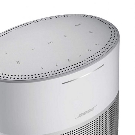 Bose Home 300