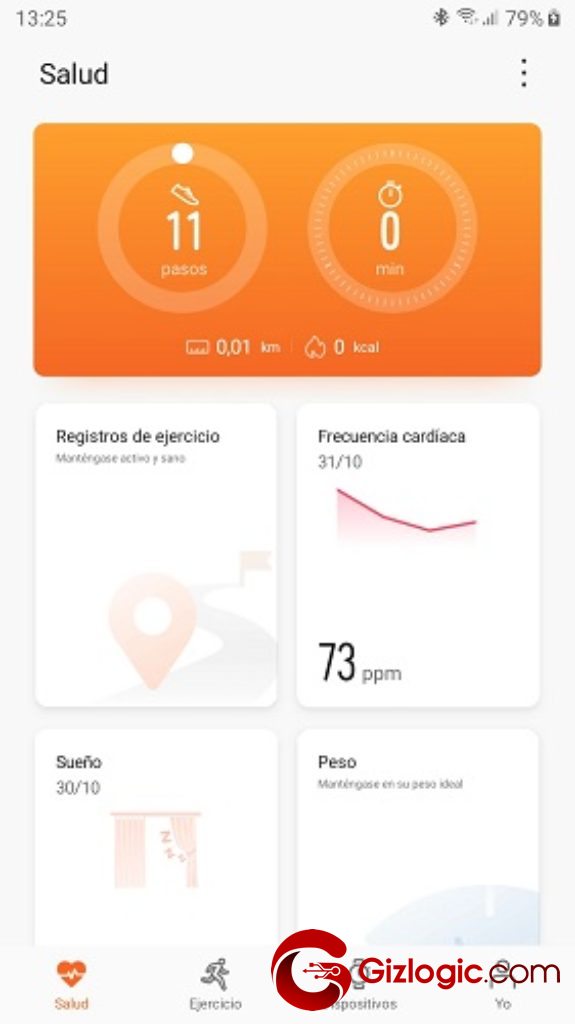 HONOR Watch GS Pro Huawei App
