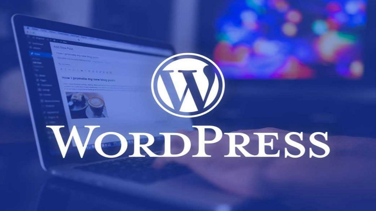 destaca experto de wordpress