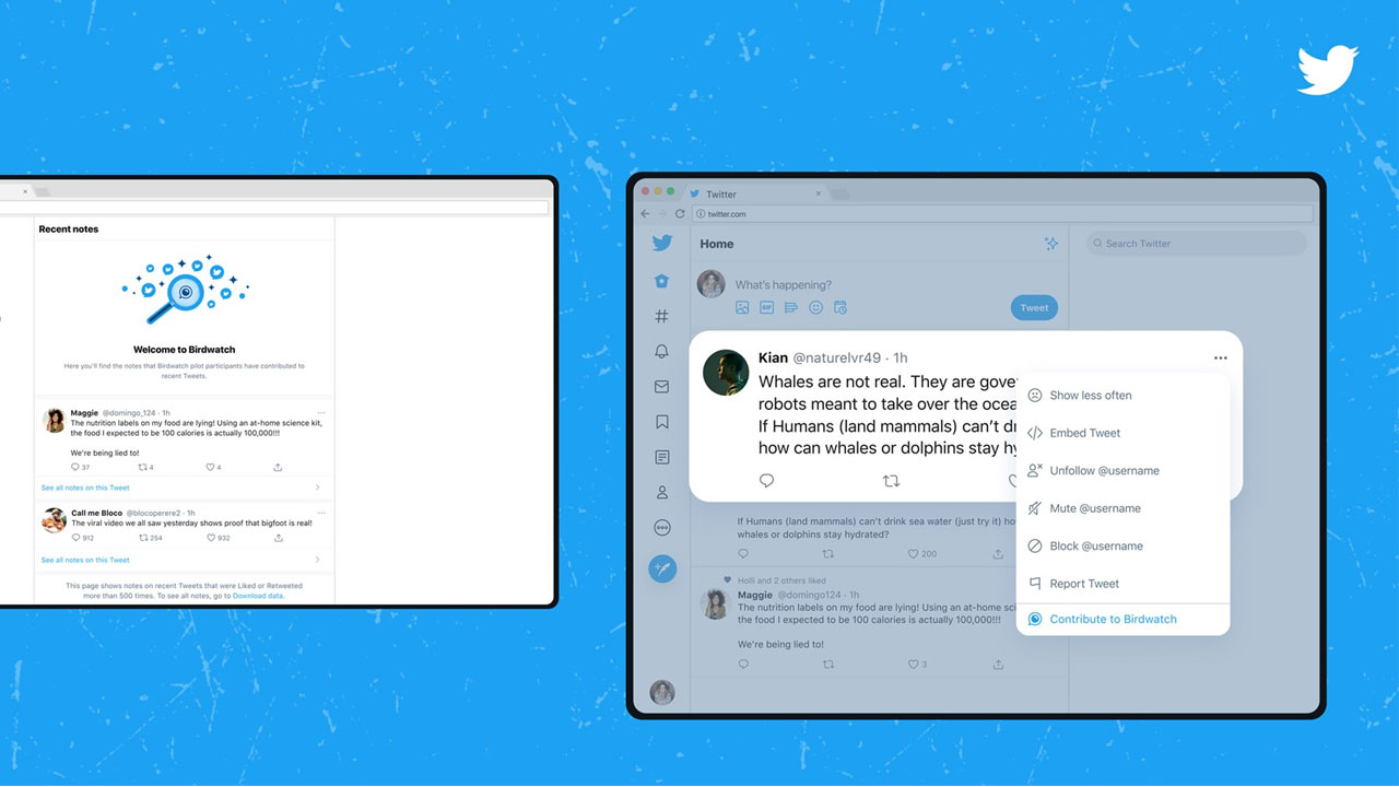 Birdwatch, la última iniciativa de Twitter para combatir la desinformación
