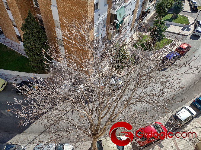 Motorola G 5G Plus Motorola G 5G Plus