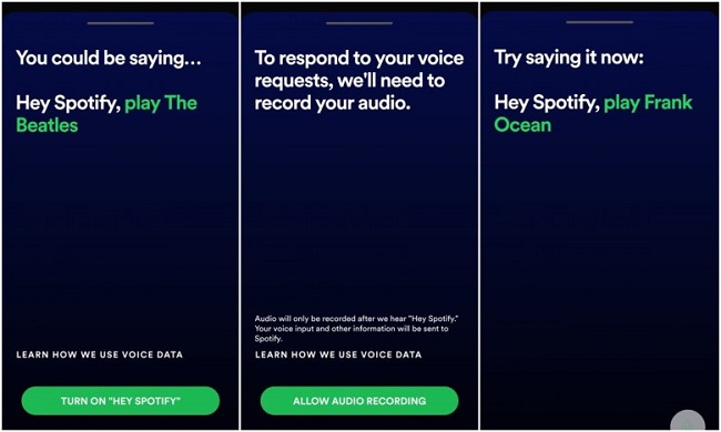 Hey Spotify