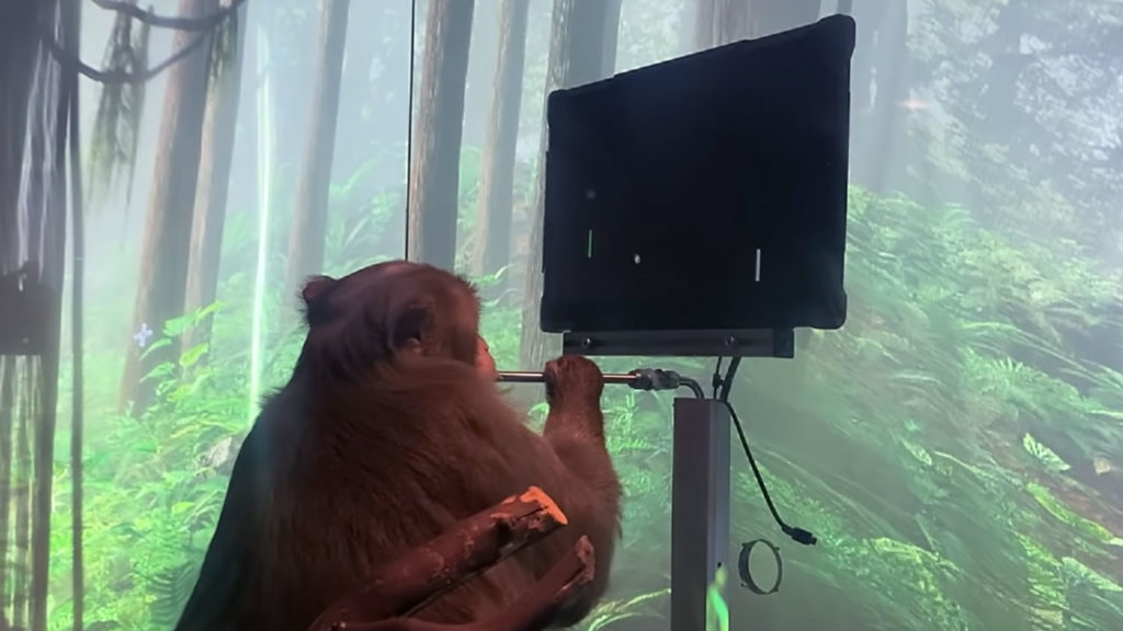 Neuralink muestra avances - permitir a un mono jugar Pong con la mente