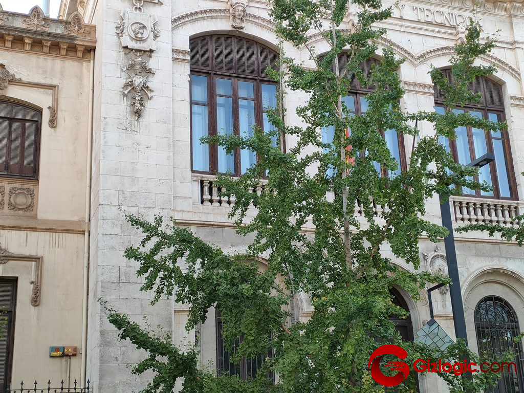 realme GT Master Edition