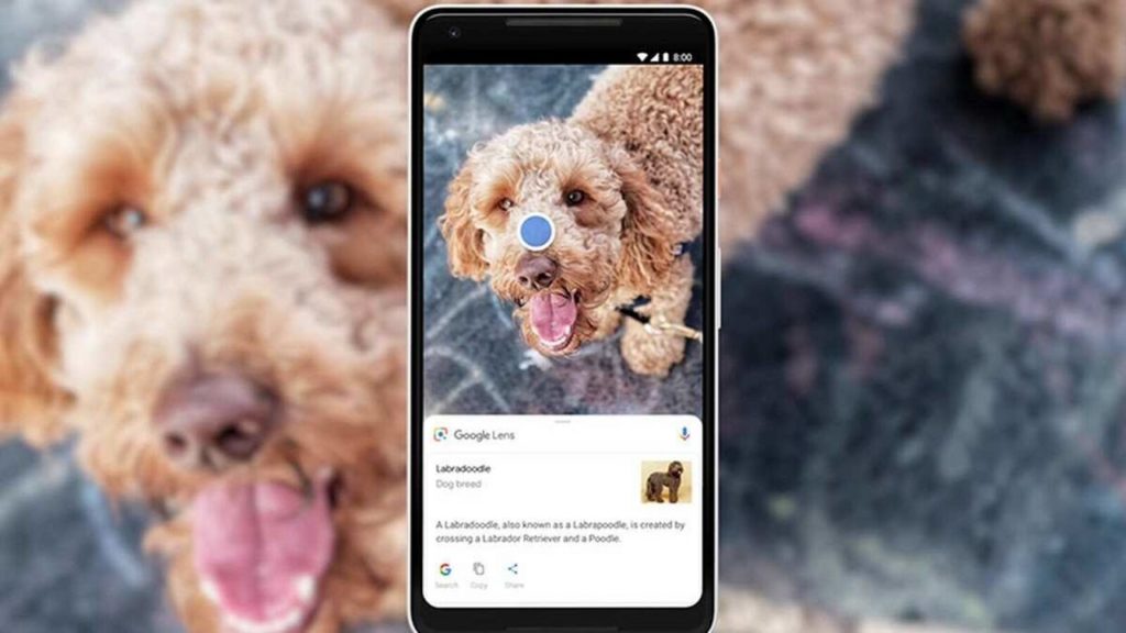 google lens