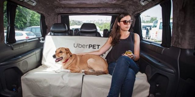uber pet mascotas