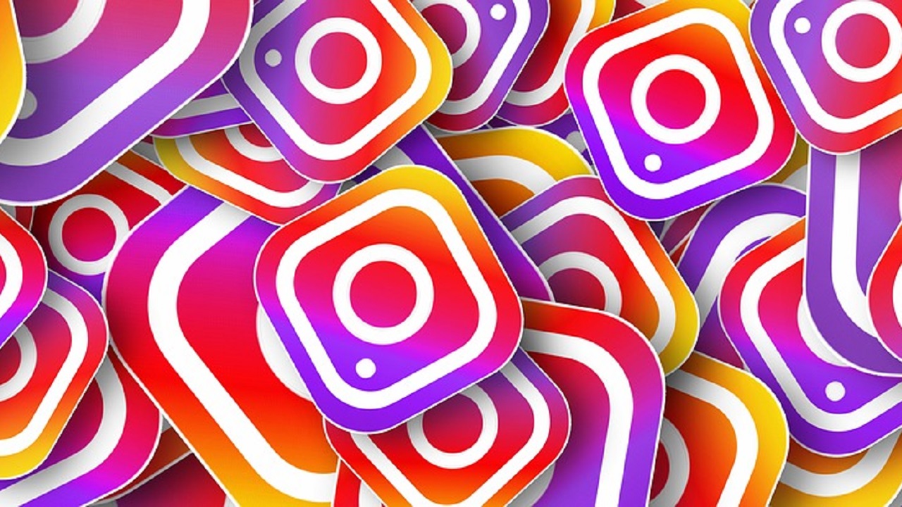 instagram seguidores