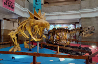 museo fosiles pokemon de japon