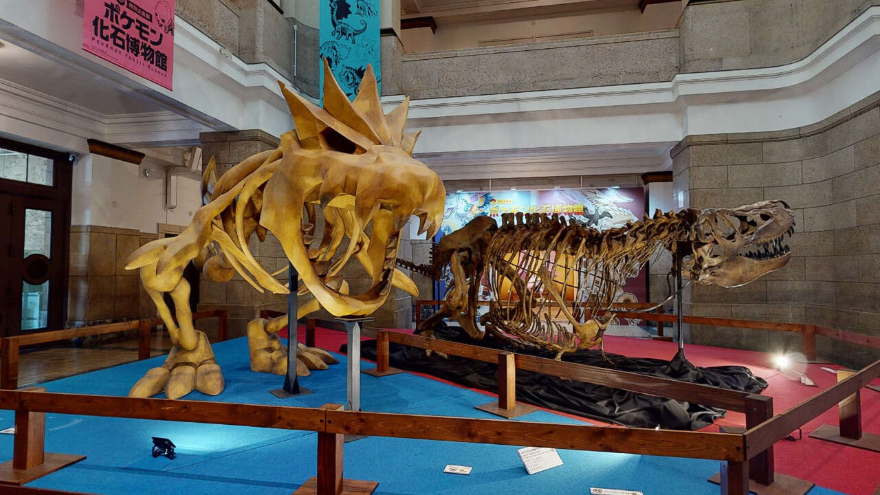 museo fosiles pokemon de japon
