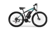 DUOTTS C29, bicicleta eléctrica grande para usuarios exigentes