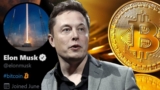 El efecto Musk: El empresario impulsa el valor del Bitcoin