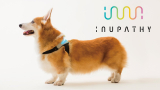 Inupathy, el collar inteligente para perros