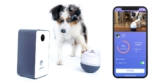 PupPod Rocker, el nuevo juguete interactivo para perros