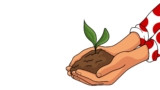 Nuevo Plan Amigo de Pepephone: 1 amigo = 1 árbol plantado