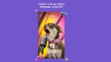 Petstar, la app para hacer vídeos graciosos de tu mascota