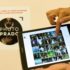 Amex Express Checkout alternativa a PayPal
