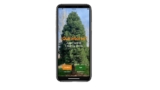 QAE – Qué Árbol Es, la nueva app gratuita para jugar a identificar árboles