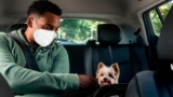 Uber Pet, ¿en qué ciudades puedes viajar con tu mascota en Uber?
